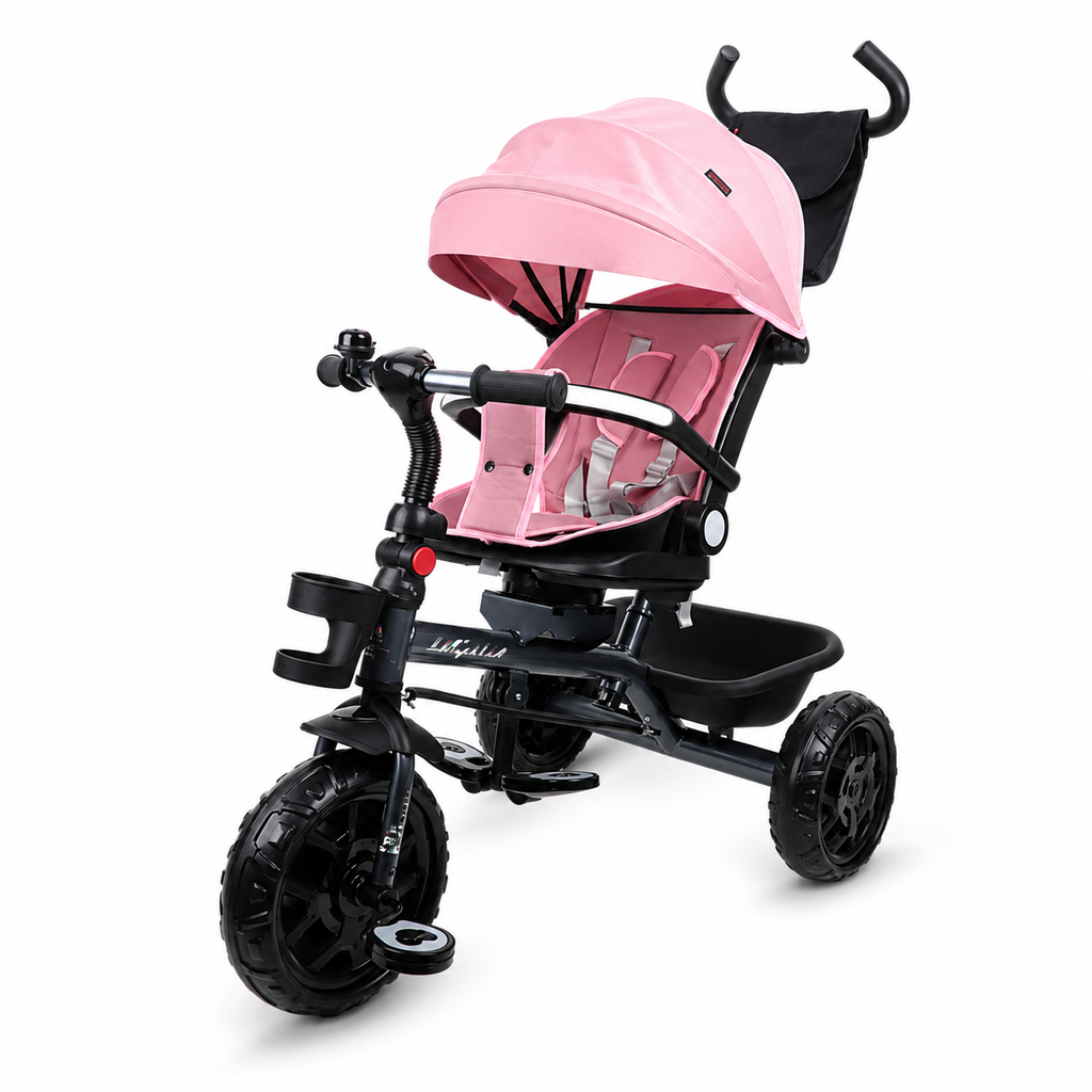 ALLWYN DYNO TRICYCLE