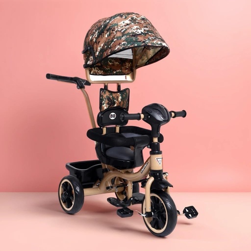 DASH ASTER 4 IN 1 TRICYCLE